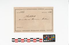 Etikett zu Holzeimer (NHMW-PRAE-003506)